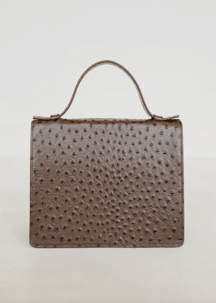 Mini Briefcase Etna struzzo