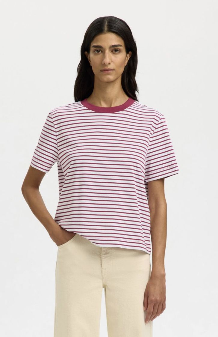 SlfEssential ss striped Boxy Anemone