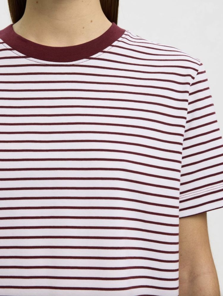 SlfEssential ss striped Boxy  Tawny port / br