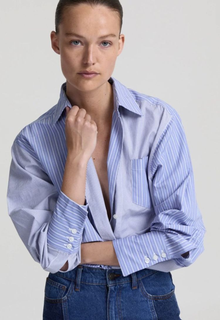 Scott Light blue stri